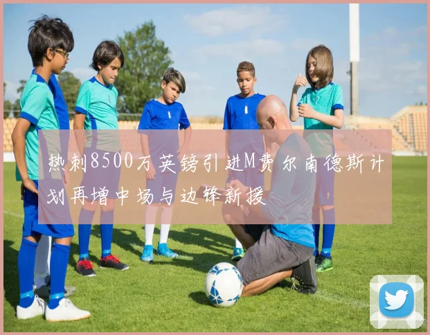 热刺8500万英镑引进M费尔南德斯计划再增中场与边锋新援