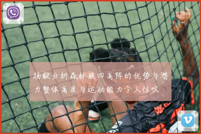 杨毅分析森林狼四高阵的优势与潜力整体高度与运动能力令人惊叹
